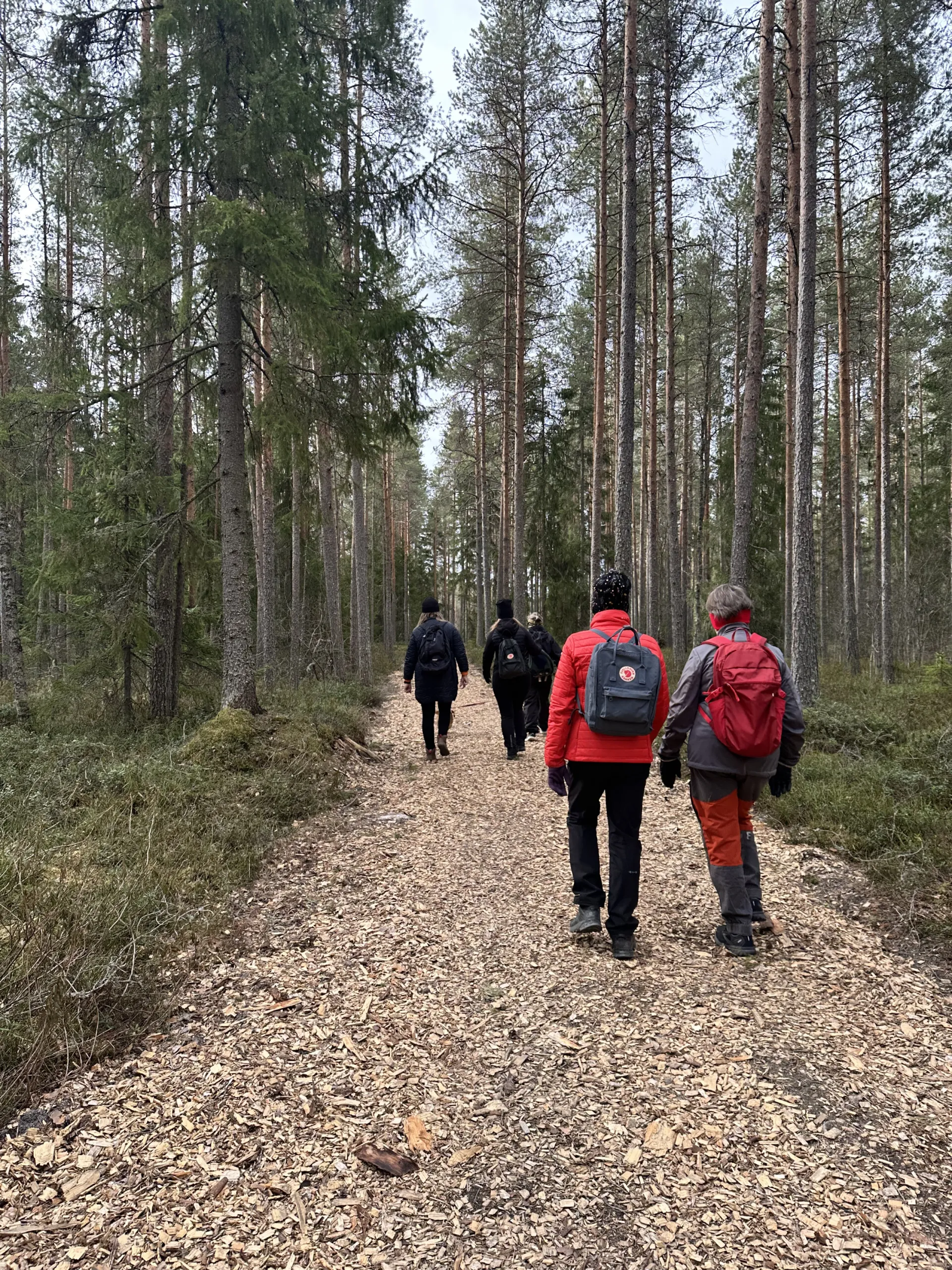 Förmiddagsvandring